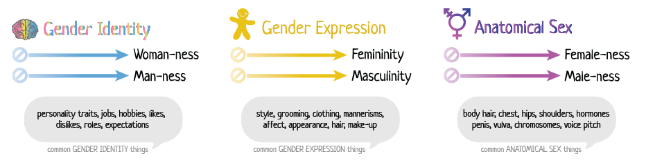 Genderbread Chart 1